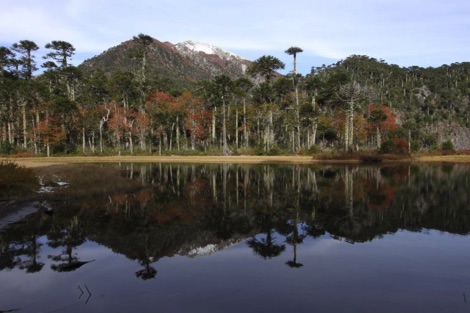 Lakes and mountains in Chile